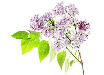 暗黑破坏神4传奇装备在哪刷？暗黑4传奇装备怎么获得最快？